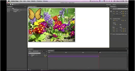 Adobe Edge Preview Adobe Edge Preview
