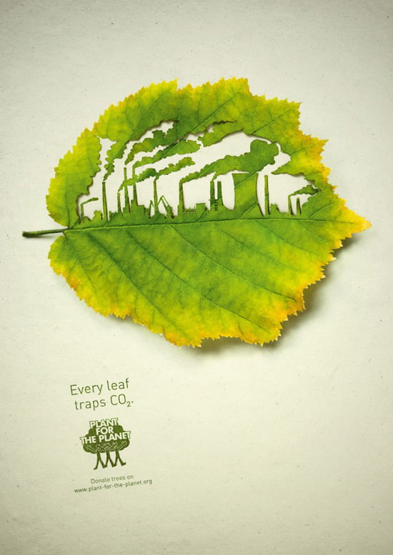 Plant for the planet: Traffic Plant for the planet: Traffic