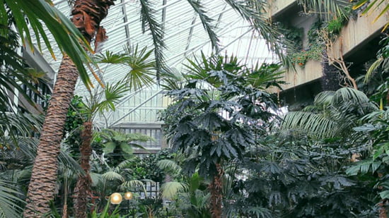 Secret Exoticism Secret Exoticism