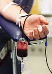 HARBURG, GERMANY - JUNE 08:  A woman donates b... HARBURG, GERMANY - JUNE 08:  A woman donates b...