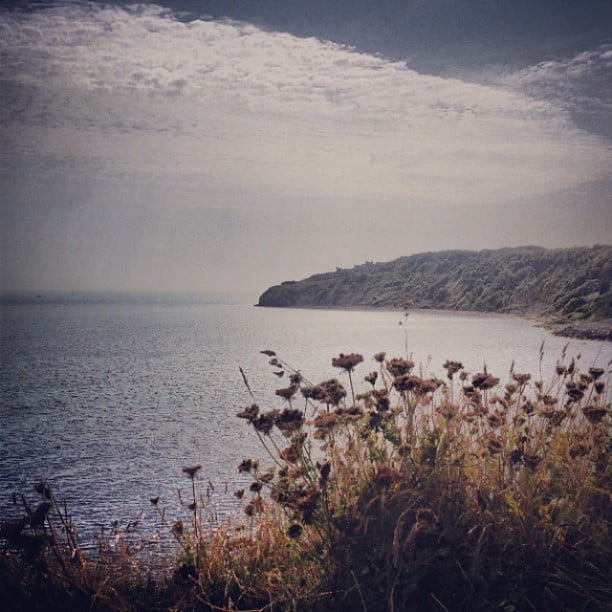 Looking out from Sawnage