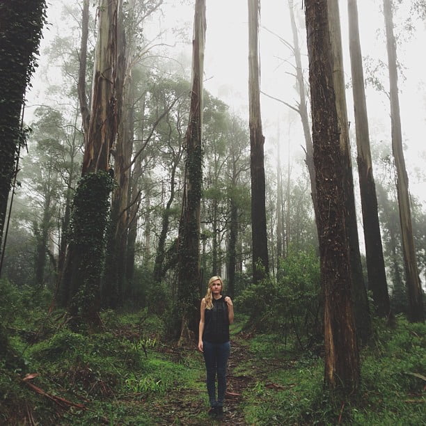 Morning winter bushwalk with @coopscam by tammybutow 