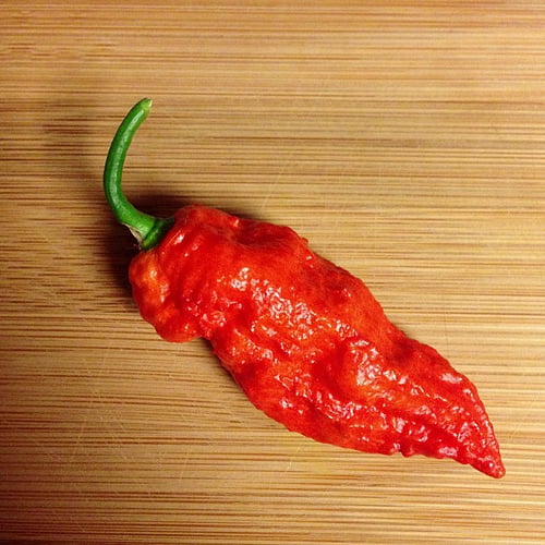 Casper by Robert Jolly