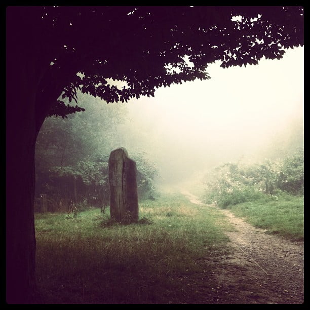 I do like my walk to work.