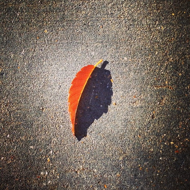 Little autumn by chenpamela