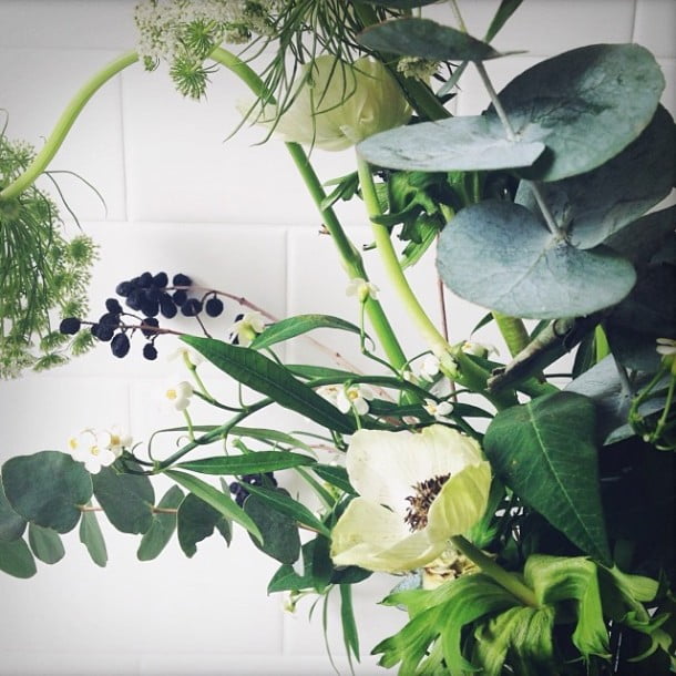 Enjoying these beauties by nicole_franzen