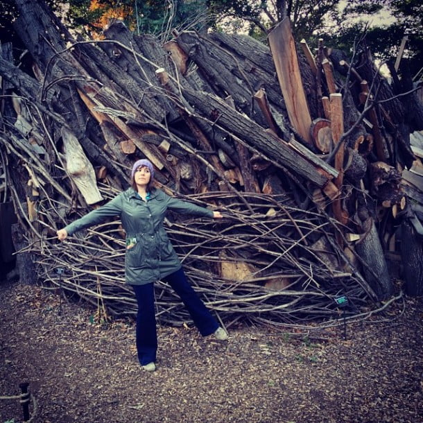 Tree House by blankenship