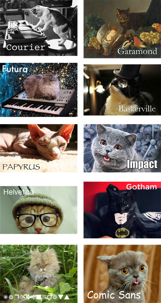 If cats were fonts