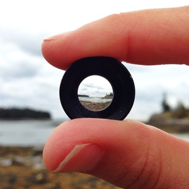 Olloclip macro on a Maine island by white_african 