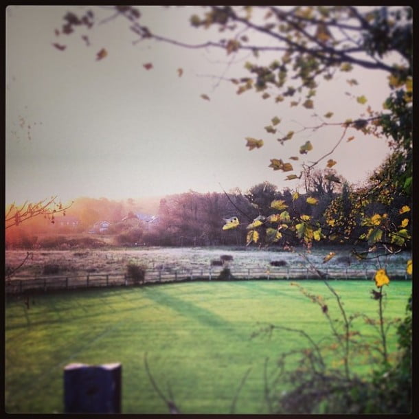 Good morning Bexley :)