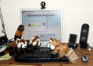 Mozilla Firefox 3 e tre Firefox Mozilla Firefox 3 e tre Firefox