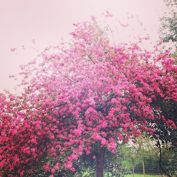 Beautiful via Instagram