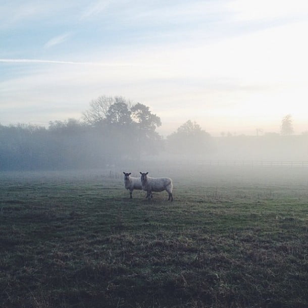 "I live in the English countryside"  by Luke Cotton