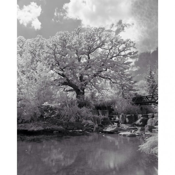 Infrared from Crystal Palace Park