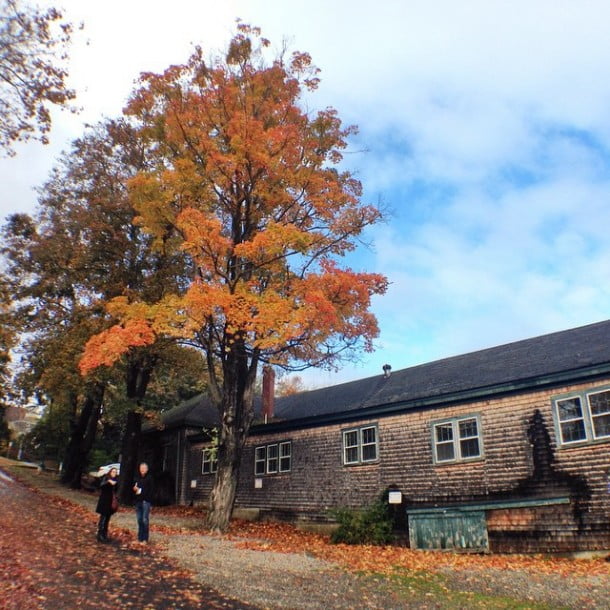 Fall in Maine by white_african