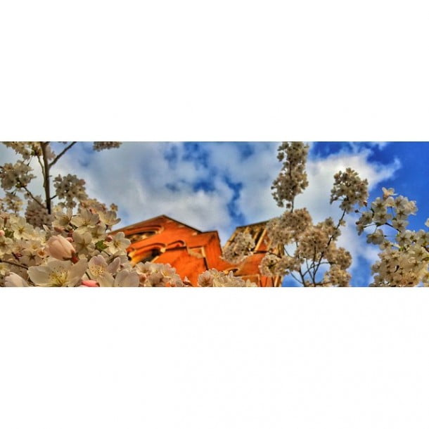 Crystal Palace by joelantunes