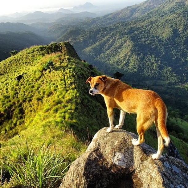 Got friends in high place... by hello.l4wrence