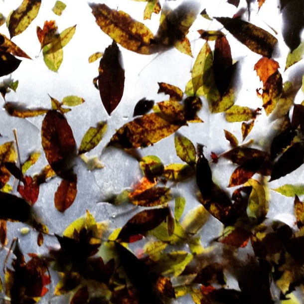 abstract november by croftphotography