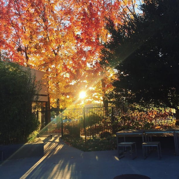 Finally, Fall. by lyricyst