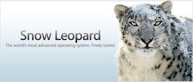 Leopard delayed by Apple iPhone