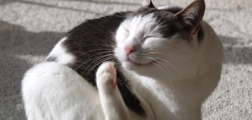 It feels so good by ~jessica888