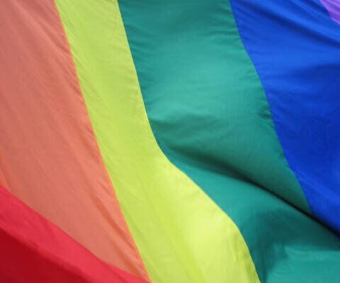 flag of colors by ~wulfbane
