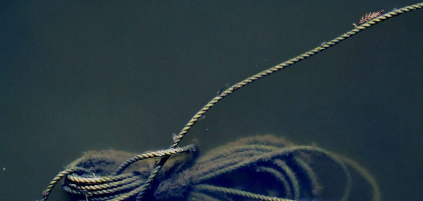 Rope by ~methylated-spirit