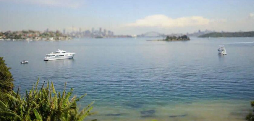 The North Wind Blew South by Keith Loutit