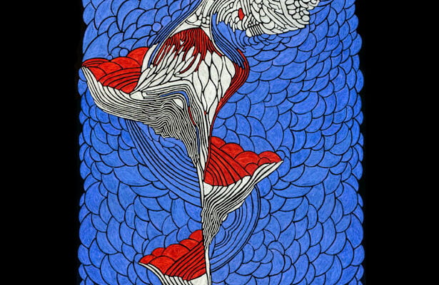 Hummingbird by ~dexter121uk