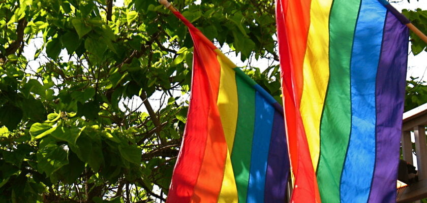 Show Some Pride 2 by ~billxmaster