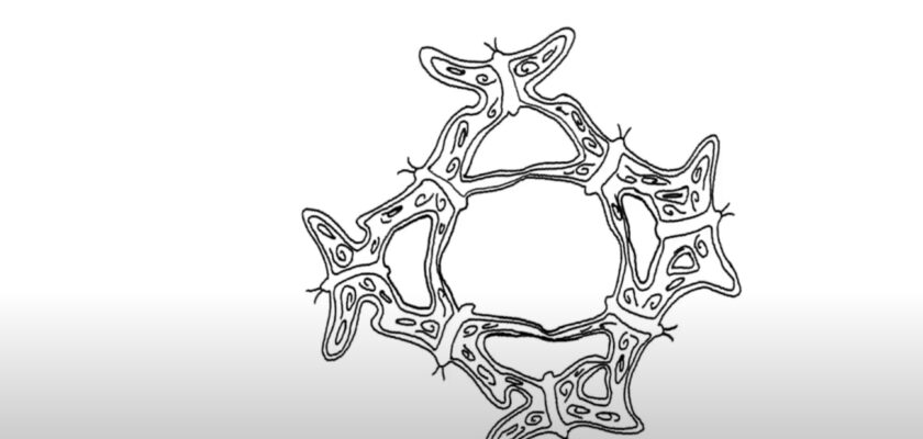 Google Doodle - John Lennon's 70th Birthday