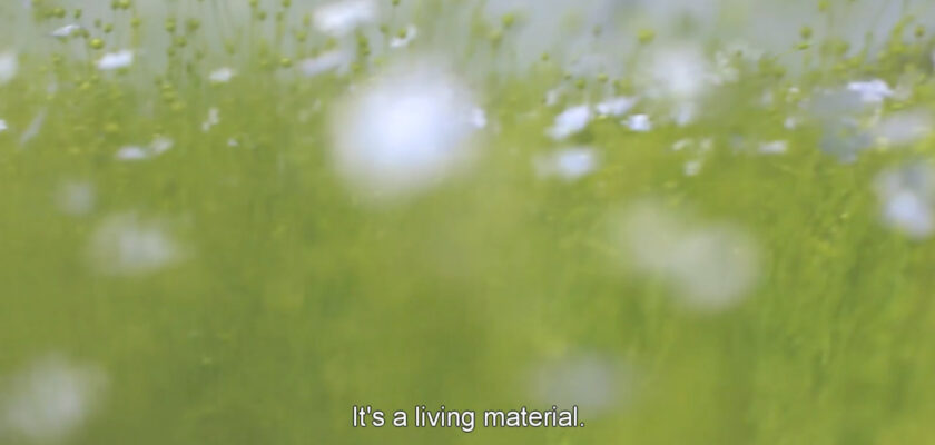 BE LINEN MOVIE by Benoit Millot