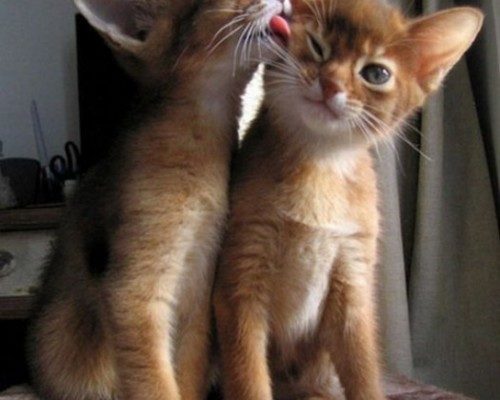 Lickin’ all up on your face.