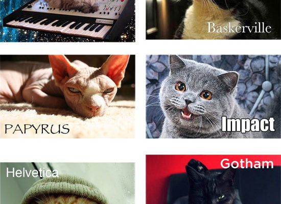If cats were fonts