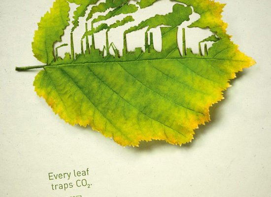 Plant for the planet: Traffic