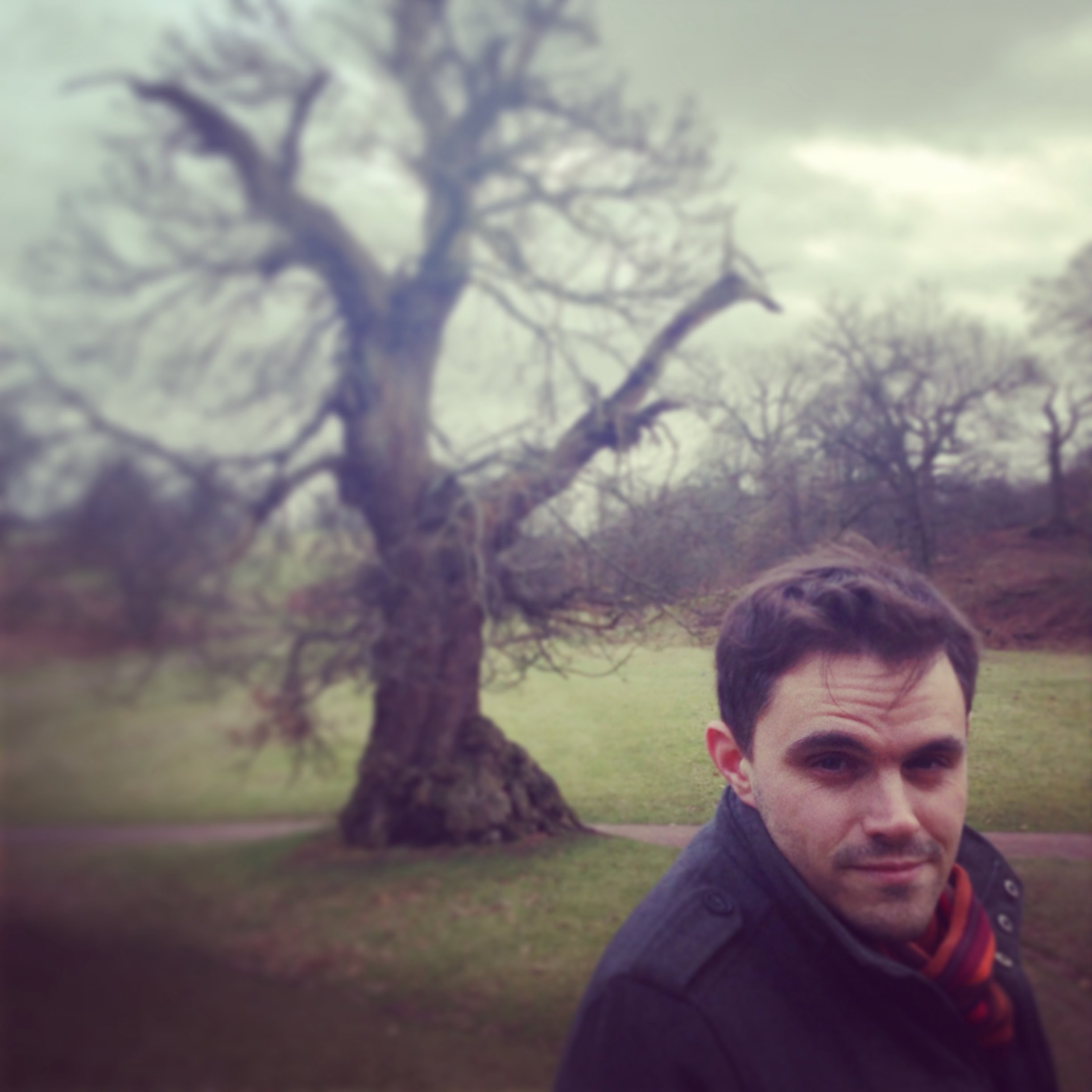 Simon Brandon in Knoll