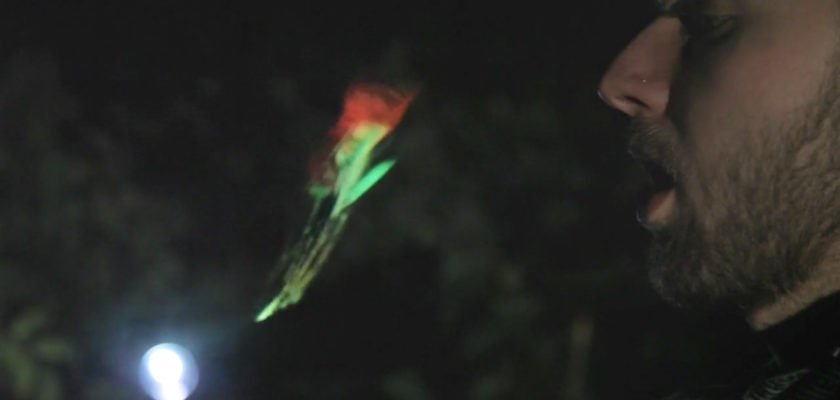 Love is in the Air - Valentine's Day