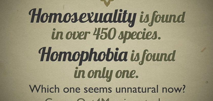 Only Homophobic Species