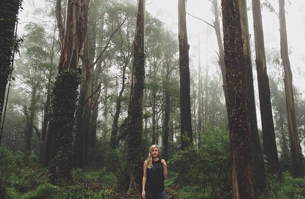 Morning winter bushwalk with @coopscam by tammybutow