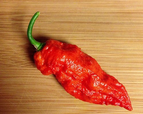 Casper by Robert Jolly