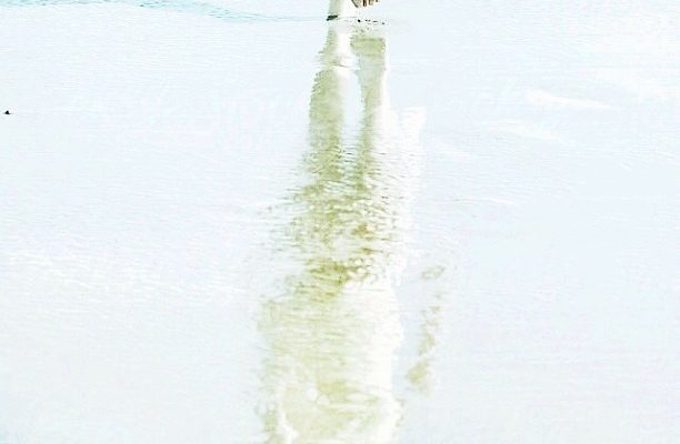 ナツノオワリニハ、