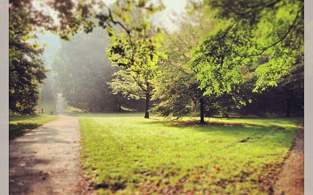 Lovely Autumn day in Hyde Park. via Instagram