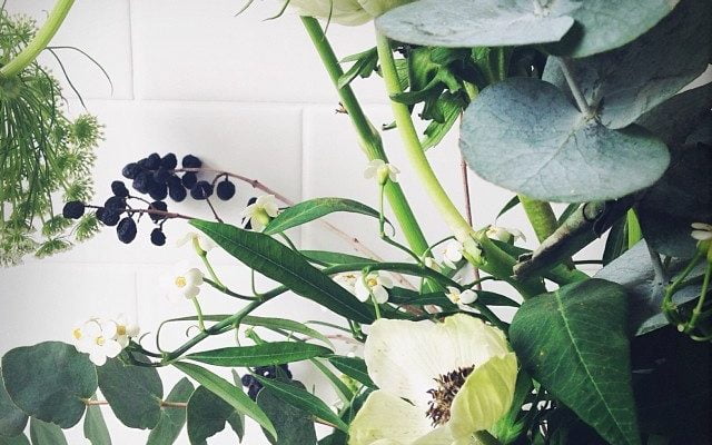 Enjoying these beauties by nicole_franzen