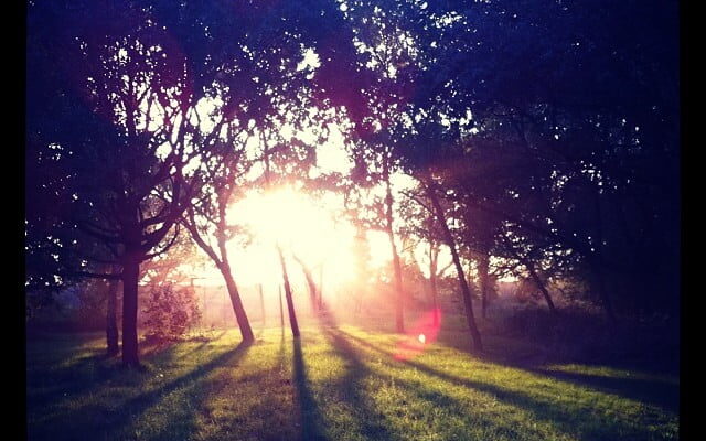 Yet again walk to work wins by dickieboy