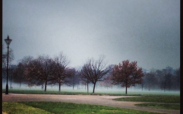Morning Mist in Hype Park this morning. via Instagram