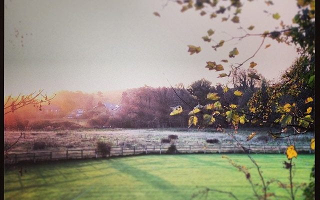 Good morning Bexley :)