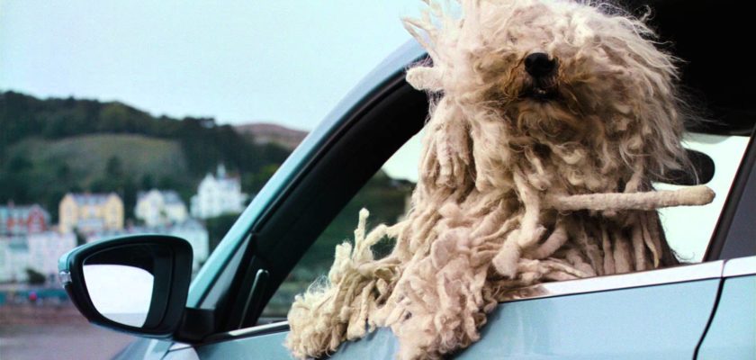 Volkswagen Woofwagen dogs advert 2013