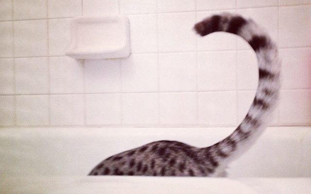 Up, periscope. @twomau.