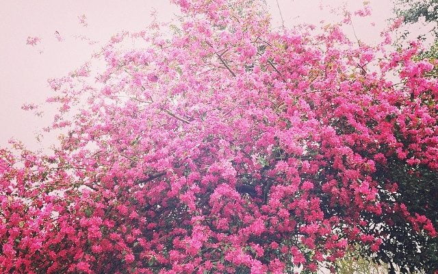 Beautiful via Instagram