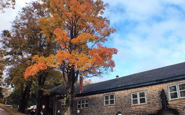 Fall in Maine by white_african